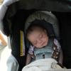 View the image: Nap time...