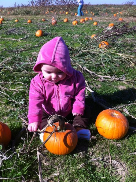 pumpkin