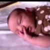 View the image: Being Cute (5/8/2011)